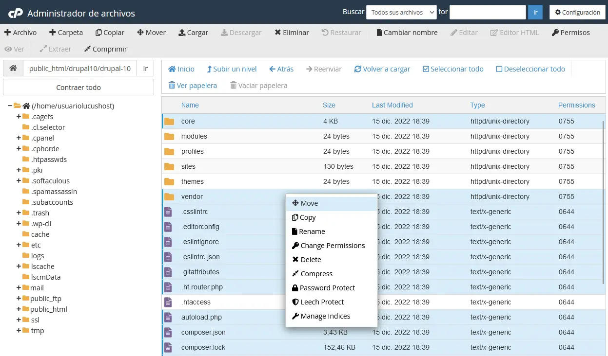 Move Drupal files